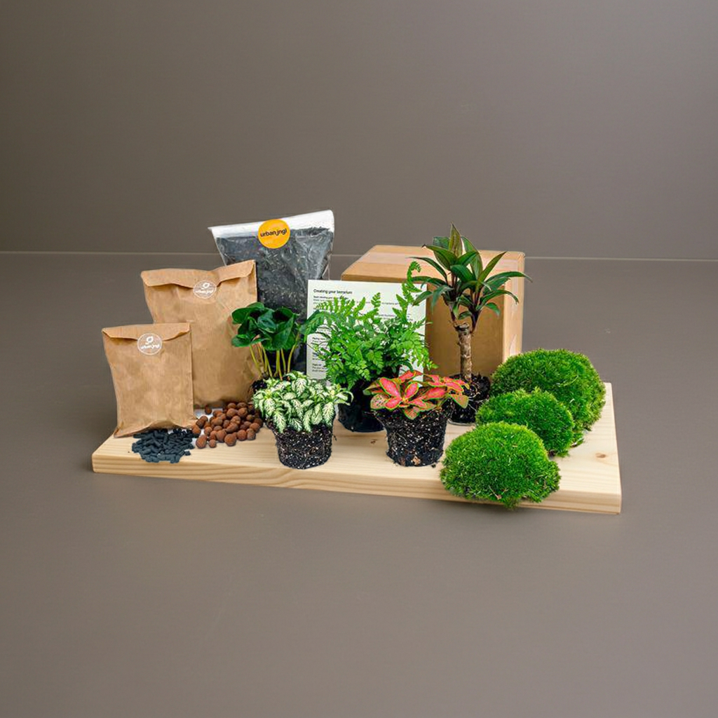 Pflegeleichtes DIY-Flaschengarten-Set 