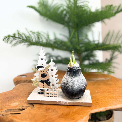 Amaryllis – Hippeastrum „Winterwunderland Rentier“ · Wachs-Zwiebel mit Holzrentier · 32 cm