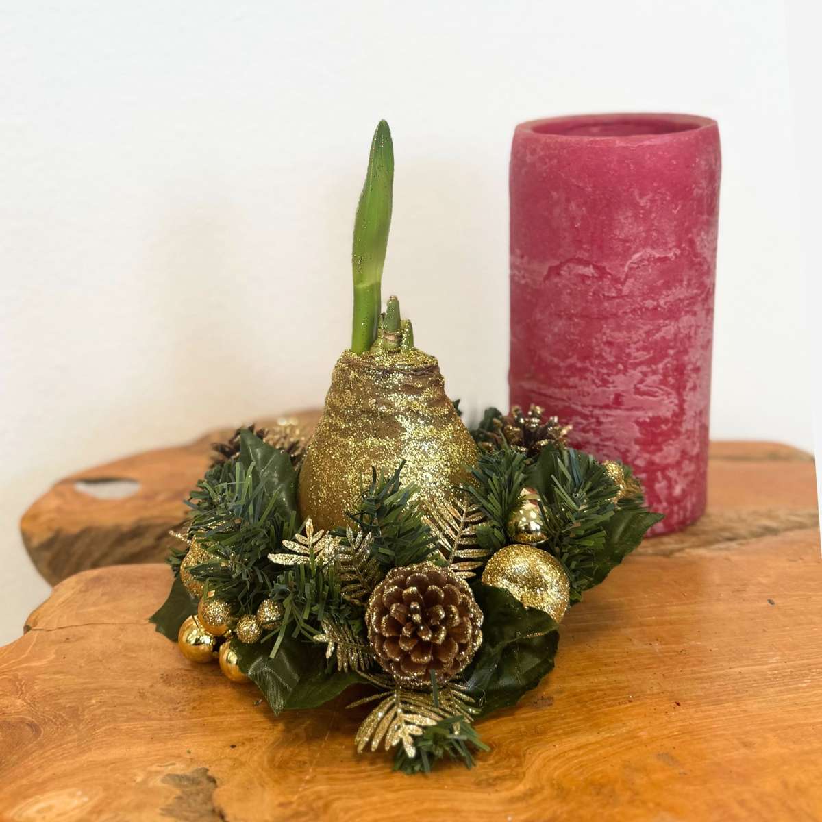 Amaryllis - Hippeastrum 'Weihnachtskranz' - Gold