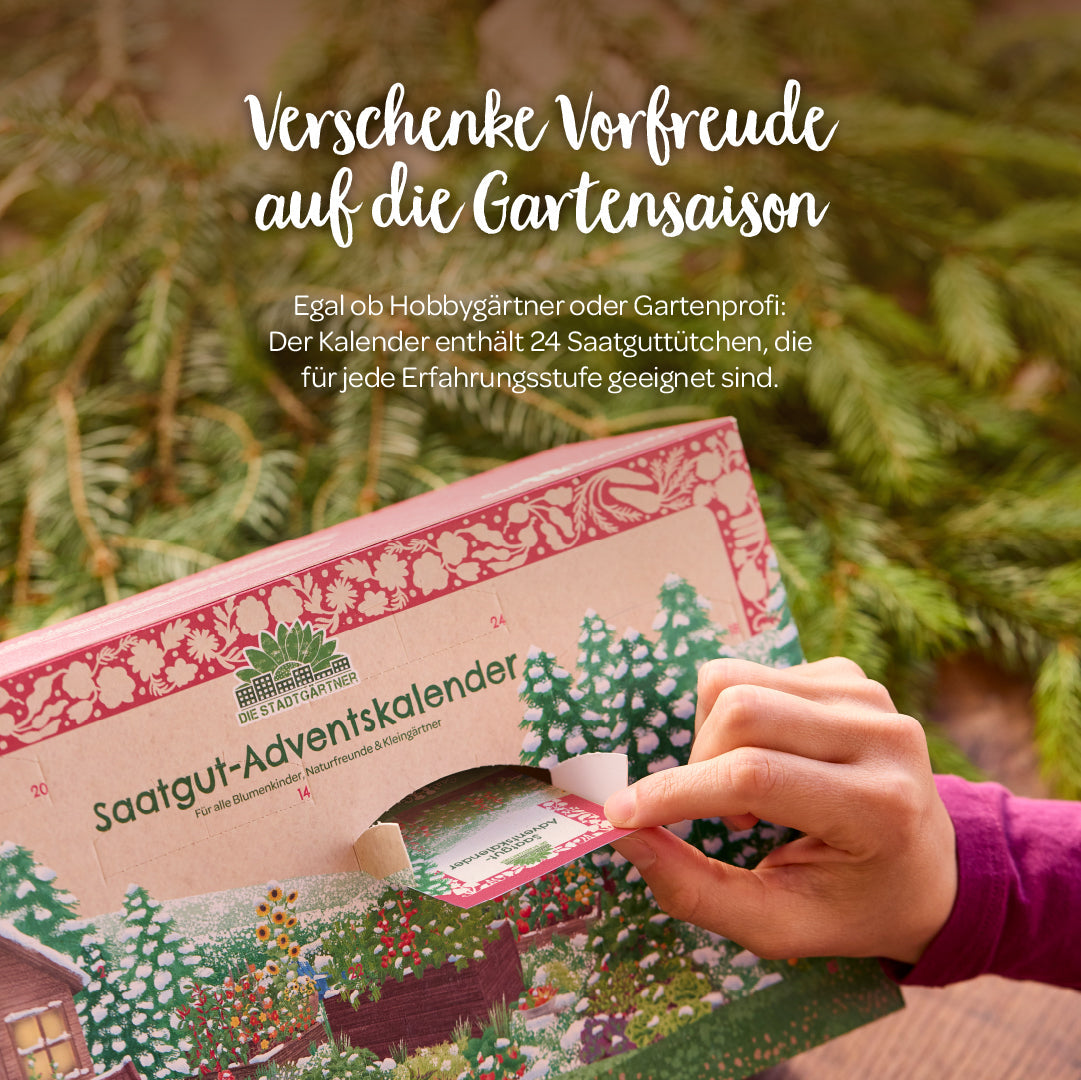 Saatgut-Adventskalender „Türchen-Edition“ – 24 Sorten, BIO & nachhaltig