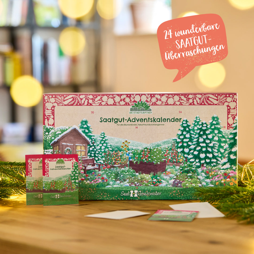 Saatgut-Adventskalender „Türchen-Edition“ – 24 Sorten, BIO & nachhaltig