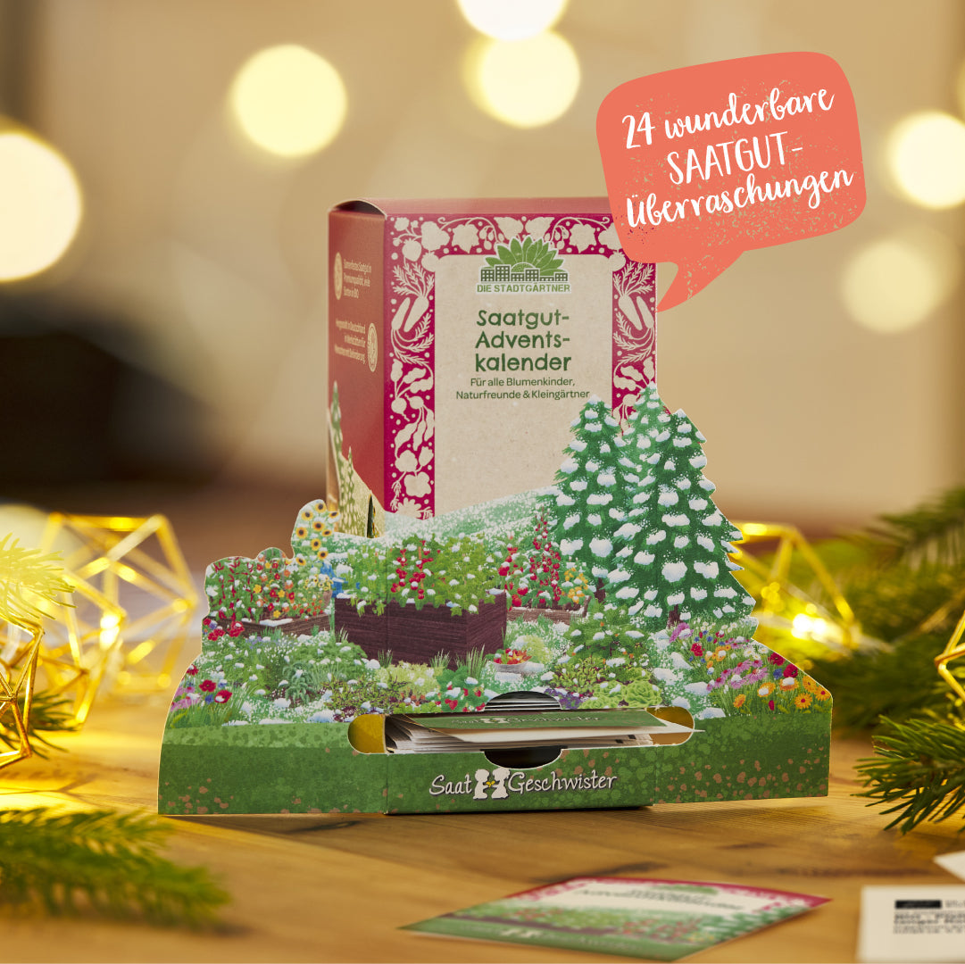 Saatgut-Adventskalender „Winterlandschaft“ – 24 Sorten, nachhaltig & dekorativ