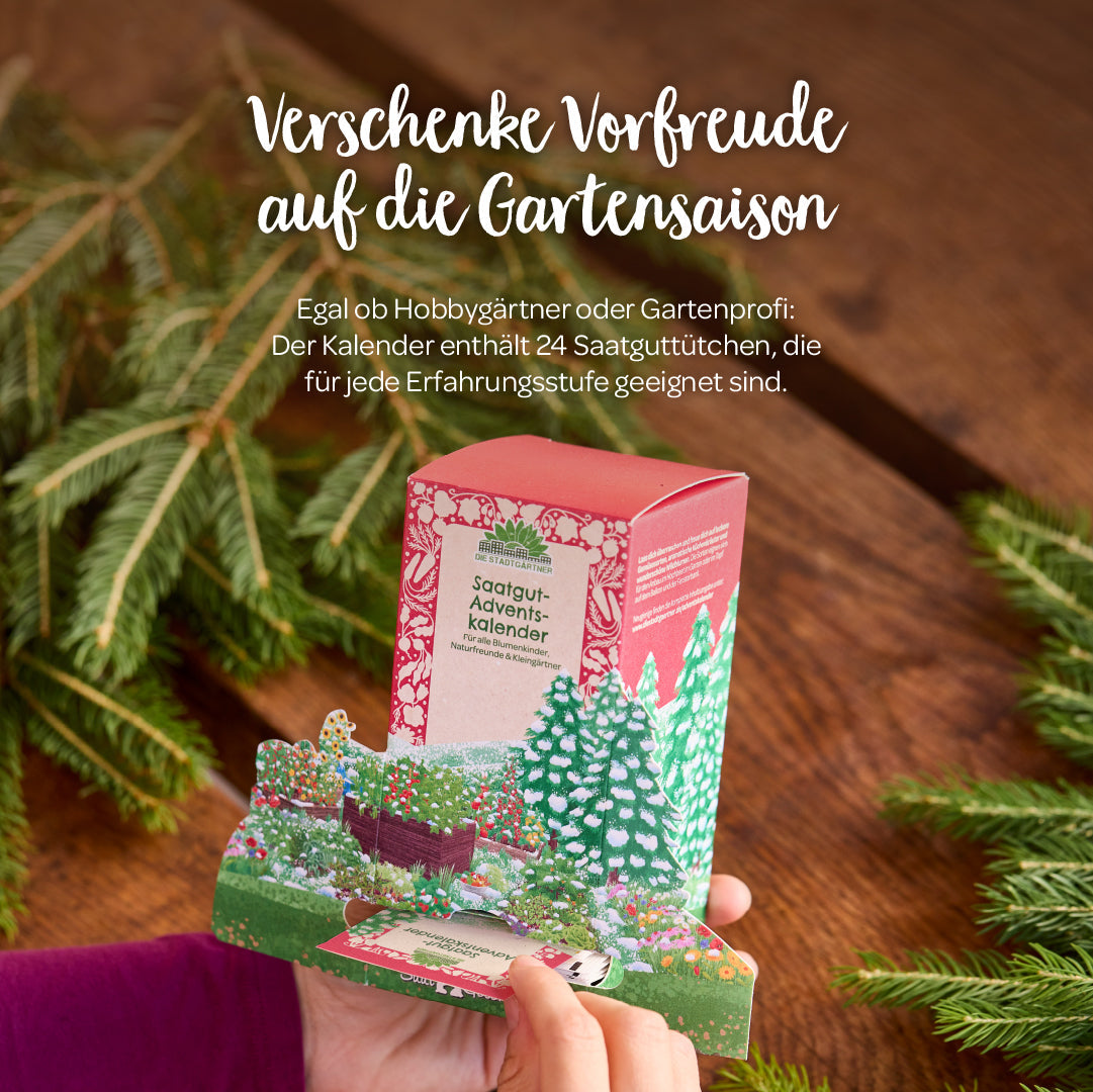 Saatgut-Adventskalender „Winterlandschaft“ – 24 Sorten, nachhaltig & dekorativ