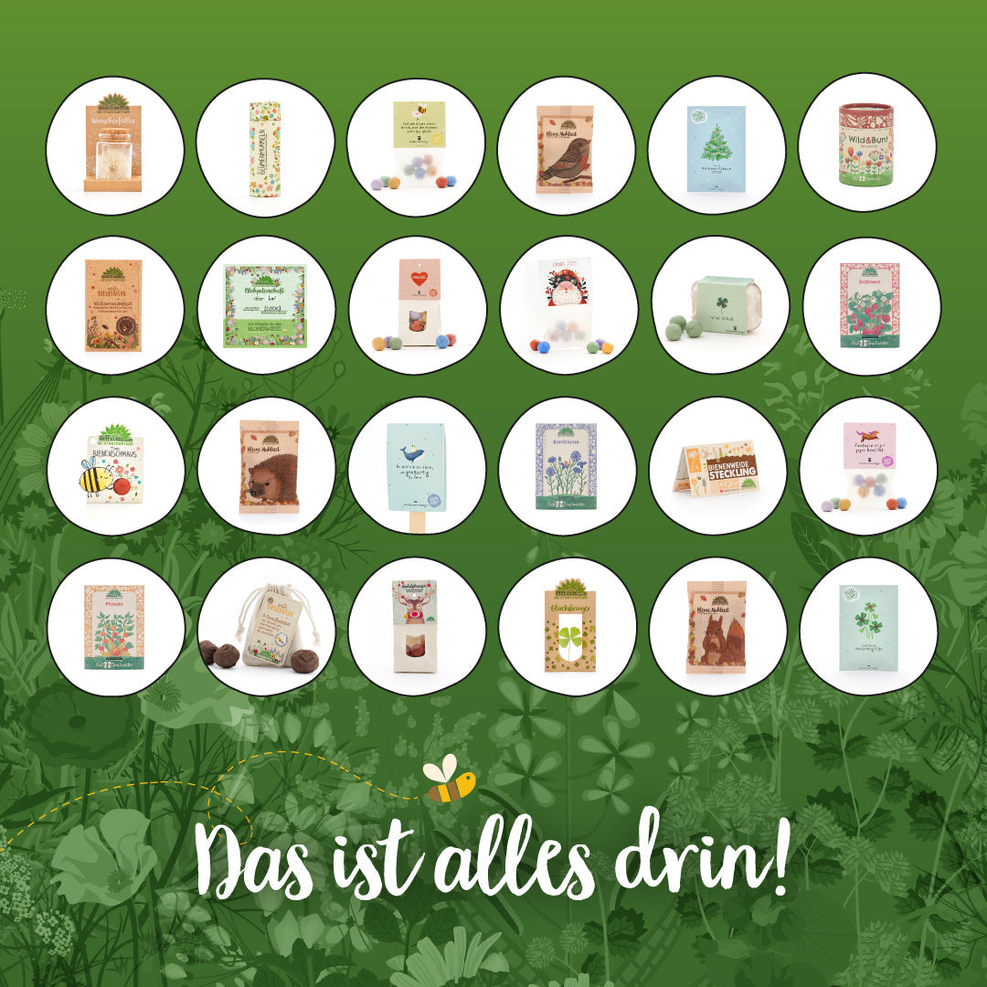 Adventskalender 2025 „Die Stadtgärtner“ – 24 nachhaltige Überraschungen