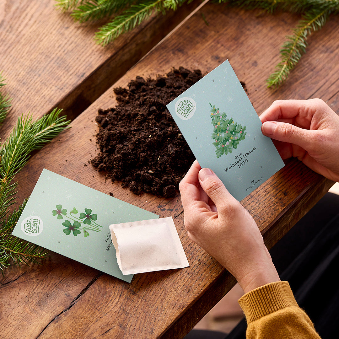 Fichten-Saatgut „Weihnachtsbaum 2030“ – Ziehe deinen eigenen Baum groß