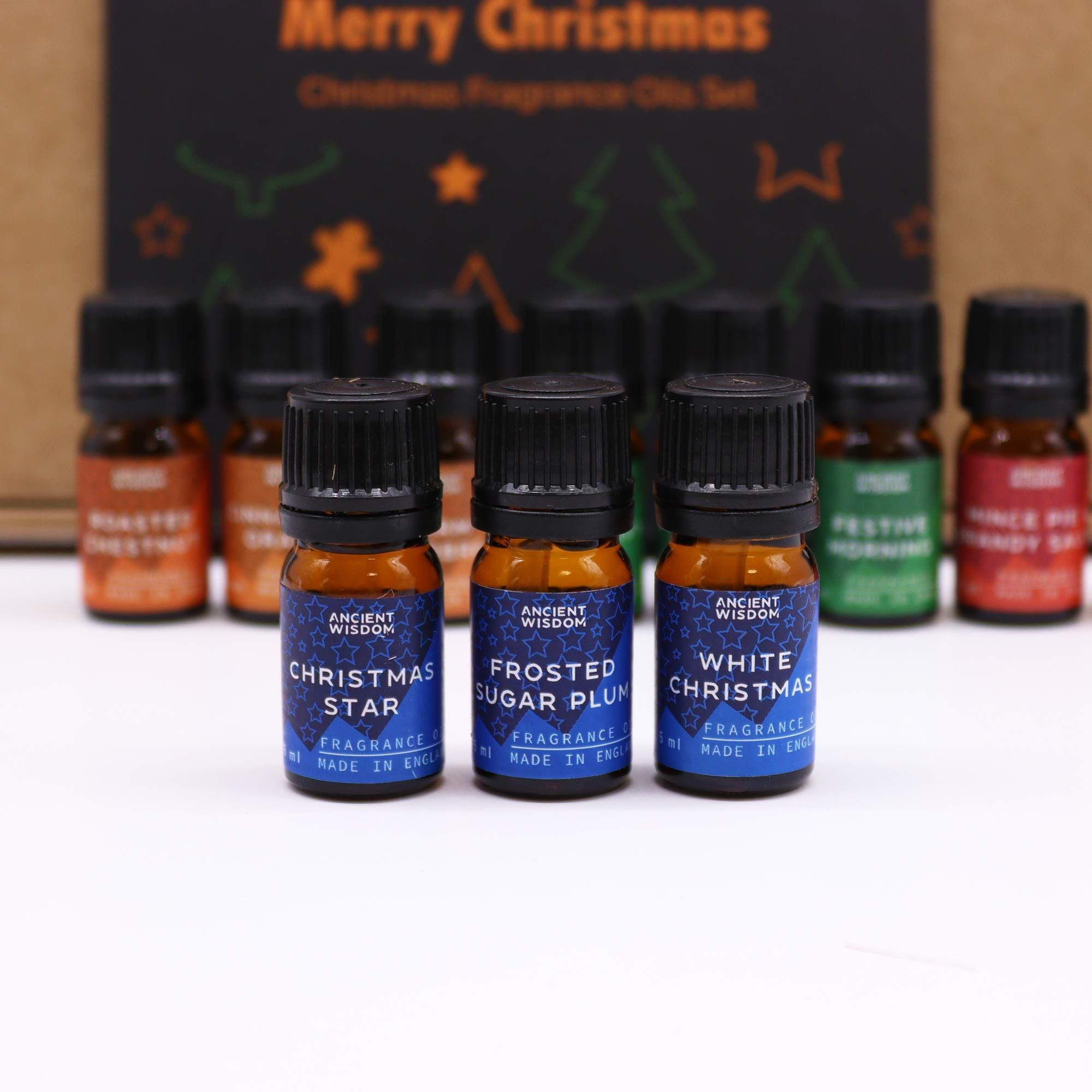 Festive Delights Fragrance Oils – 12er Weihnachtsduft-Set (à 5 ml) - Duftöle für Winter, Feiertage & gemütliche Rituale