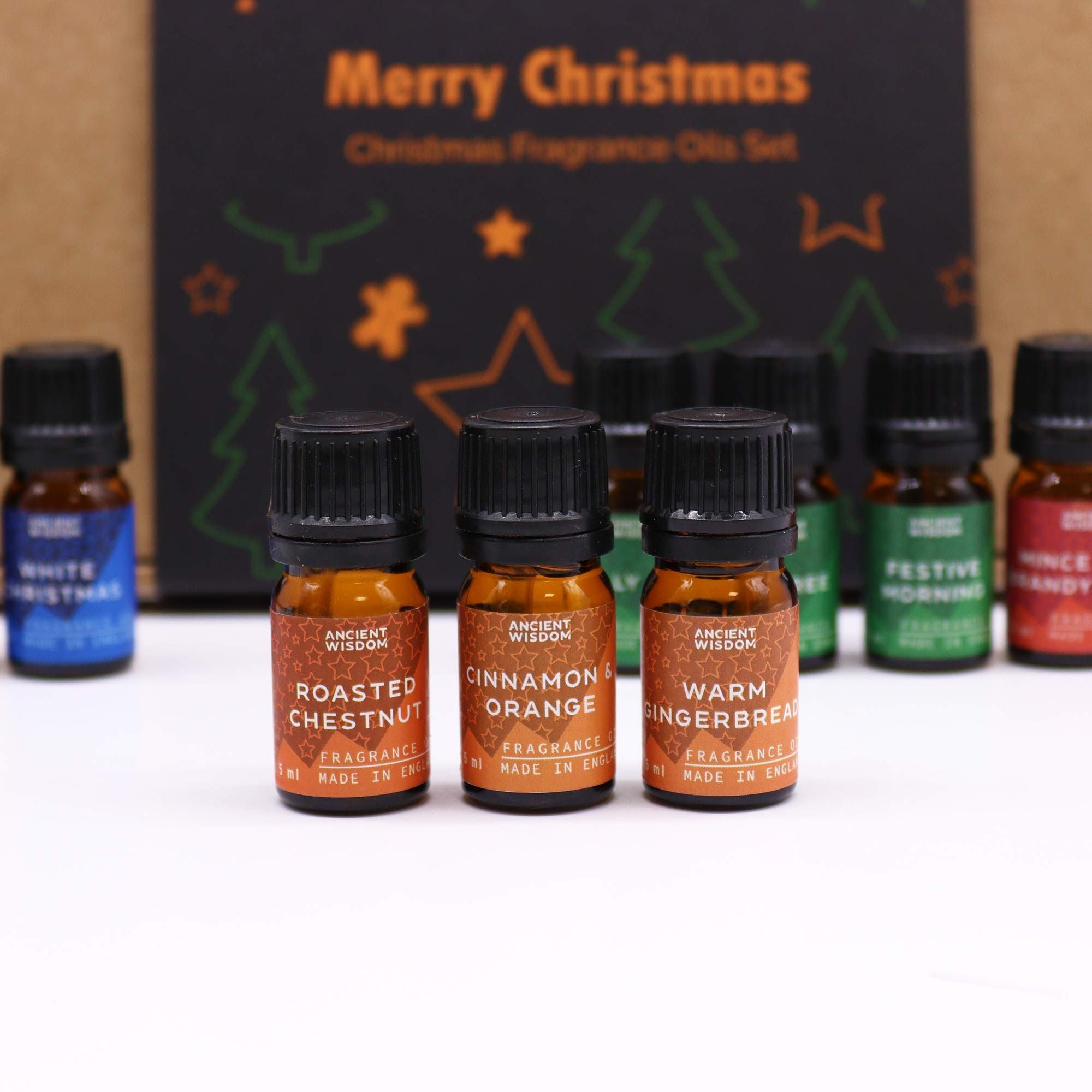 Festive Delights Fragrance Oils – 12er Weihnachtsduft-Set (à 5 ml) - Duftöle für Winter, Feiertage & gemütliche Rituale