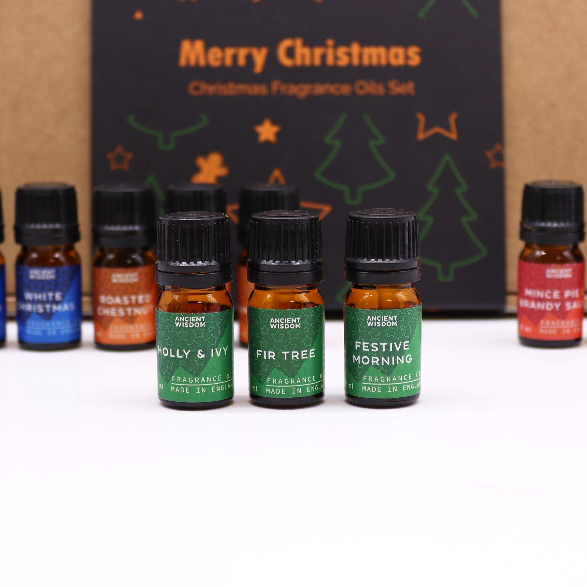 Festive Delights Fragrance Oils – 12er Weihnachtsduft-Set (à 5 ml) - Duftöle für Winter, Feiertage & gemütliche Rituale