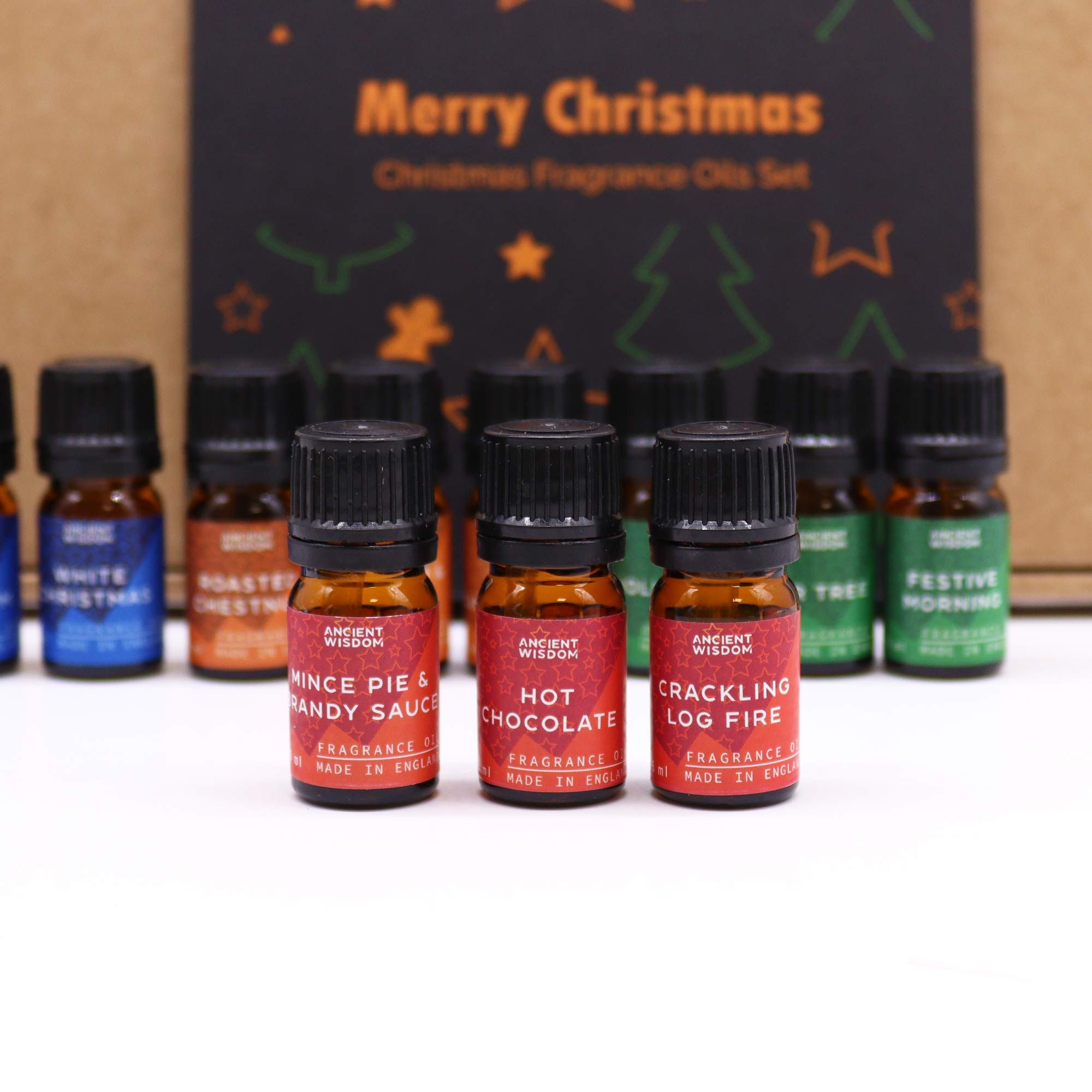 Festive Delights Fragrance Oils – 12er Weihnachtsduft-Set (à 5 ml) - Duftöle für Winter, Feiertage & gemütliche Rituale