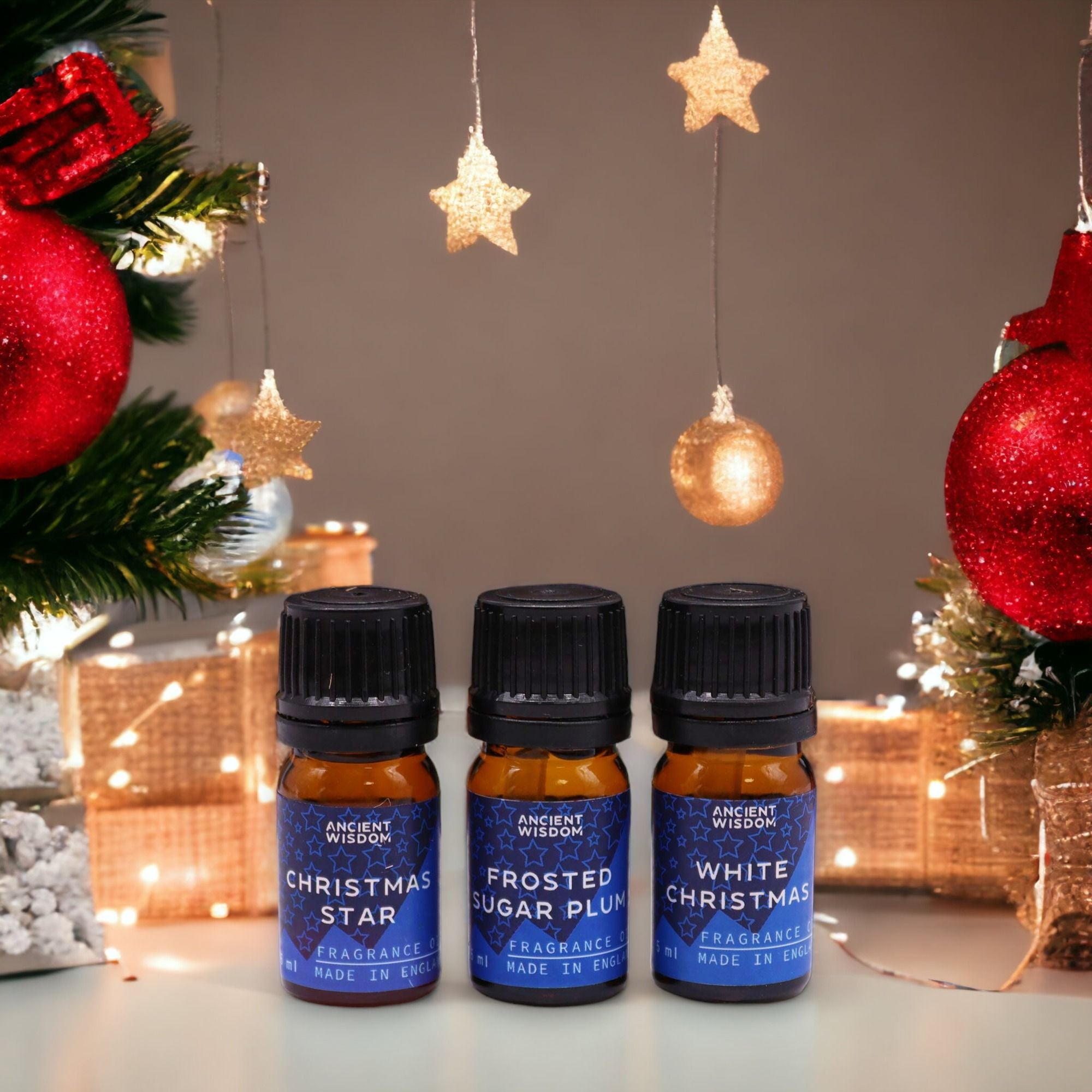 Festive Delights Fragrance Oils – 12er Weihnachtsduft-Set (à 5 ml) - Duftöle für Winter, Feiertage & gemütliche Rituale