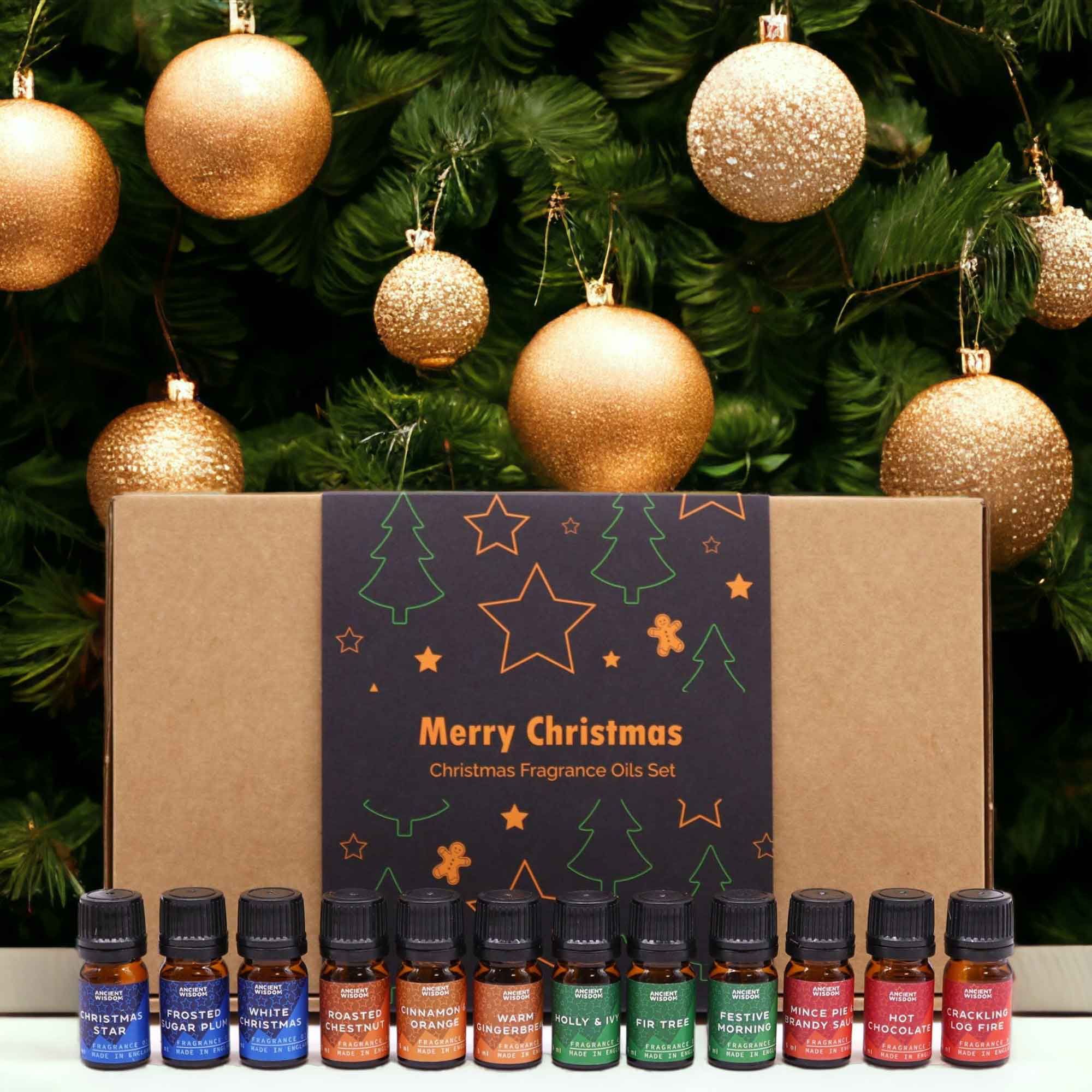 Festive Delights Fragrance Oils – 12er Weihnachtsduft-Set (à 5 ml) - Duftöle für Winter, Feiertage & gemütliche Rituale