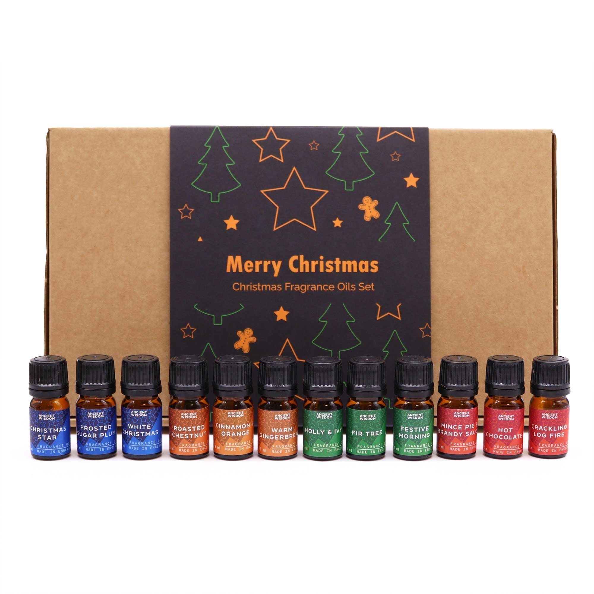 Festive Delights Fragrance Oils – 12er Weihnachtsduft-Set (à 5 ml) - Duftöle für Winter, Feiertage & gemütliche Rituale